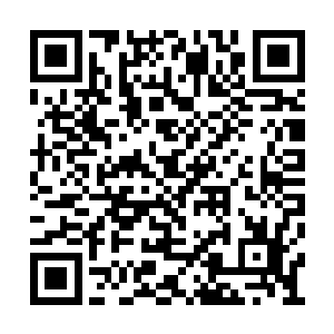 其实我们现在待得地方就是天风神帝当年的洞府二维码生成