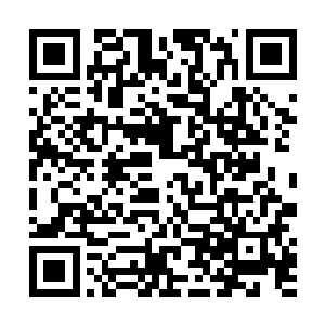 其实才是大家所需要的吧比如如何派出更多的仙家守界二维码生成