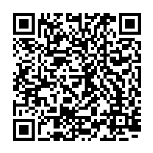 其实是她女儿吴婵娟在大夏皇朝京城的世家大族女眷们眼里正式亮相的日子二维码生成