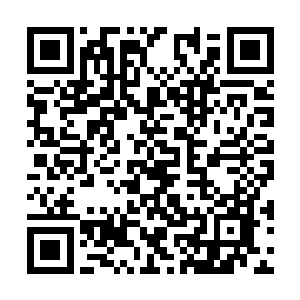 其实是想和你联手一起去闯闯这草原王留下的宝藏二维码生成