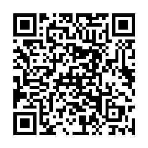 其实是指同一个师傅之下的俩徒弟之间的良性竞争二维码生成