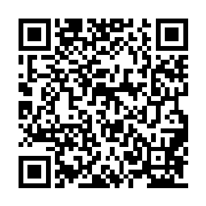 其实是熊蛋坑了他们的原因顿时明白之前勇勇说二维码生成