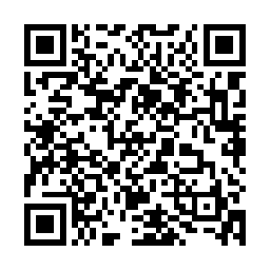 其实有些事情大家的心里面都知晓究竟是怎么一回事情二维码生成