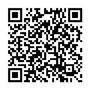 其实本来的时候杨风也是有着和小帅一样的想法二维码生成