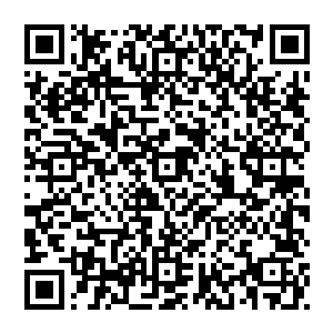 其实杜克还是很欣赏媒体上流传的这位联邦总统的一句名言――我是不会跟那些在名利场里打滚的女人谈爱情的二维码生成