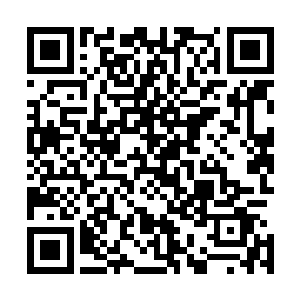 其实来越楠营救我这两位朋友的……可不仅仅只有我一个人二维码生成