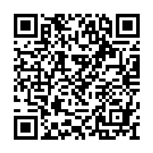 其实杨晨也觉得李英完全没有必要为了感激自己二维码生成