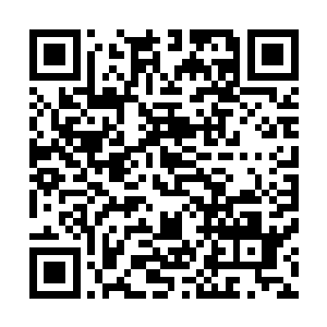 其实梓箐选择将自己灵魂收缩到灵台就应该预料到这个结果二维码生成