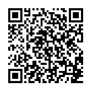 其实每一个交叉的节点上都被编制进去了一块鸽子蛋大小的晶石二维码生成