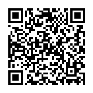 其实江迟聿自己也无法这么快就适应突然黑暗的环境二维码生成