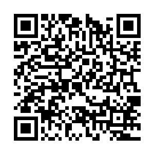 其实沈雨凝也不过是被嫉妒蒙蔽了眼睛的孩子而已二维码生成