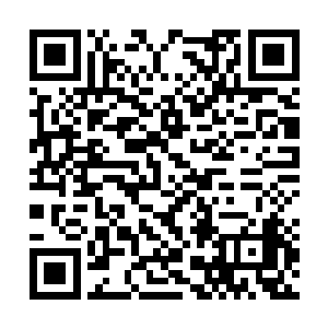 其实没有多少讨论的意义呀~也许因为有小祺在前二维码生成