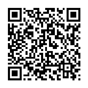 其实海外新殖民区对海洋运输力的渴求是永不满足二维码生成