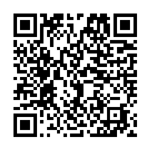 其实深海电鳗王更不安的是太子似乎跟这个女人认识的二维码生成