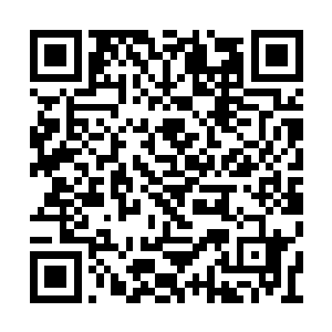 其实物资箱里面还有小型压缩氧气瓶和潜水器具二维码生成