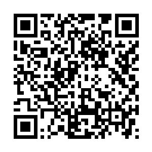 其实玉熙给他们讲的故事第二天就忘得七七八八了二维码生成