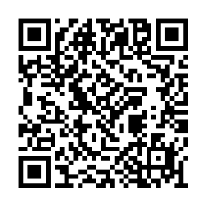 其实王世子带她看的很多项目同样属于秘密项目二维码生成