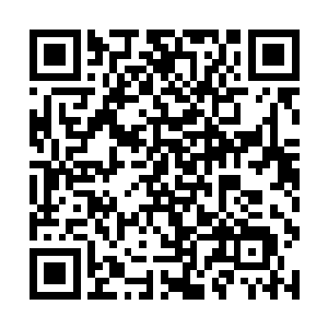 其实真正要去深渊征战的战士只占城市居民的10%不到二维码生成