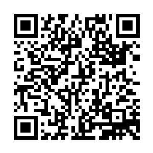 其实神灵和人类以及动物甚至昆虫没有任何区别二维码生成