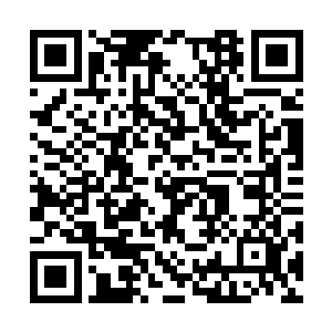 其实秦月瑶对于黄毛的手莫名其妙断掉也好奇的很二维码生成