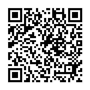 其实组委会的许多人都已经看出赵长枪和吴伟民面和心不合二维码生成
