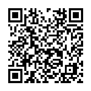 其实自己的年纪确实也到了可以谈婚论嫁的年纪了二维码生成