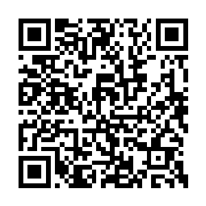 其实苏元对于自己儿子的情况也不是那么的了解二维码生成