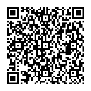 其实苏道长很长时间以来她一直都保持着闭关时的那份领悟来的天人合一的淡定和从容二维码生成