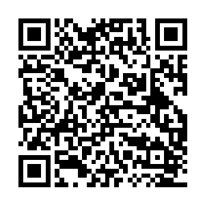 其实萧白衣在出手之后就反应过来自己应该是弄错什么了二维码生成