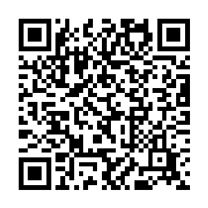 其实要破此阵也简单……只要在内里安排三五个内应二维码生成