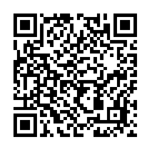 其实要说心中的拘束终究是比不过感受到的温暖的二维码生成