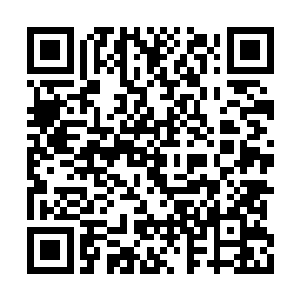 其实质是个由一道道的细密火网组成的圆型笼子二维码生成