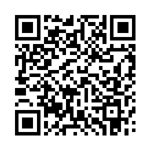 其实赤军的二号人物宏野俊也想见您呢二维码生成