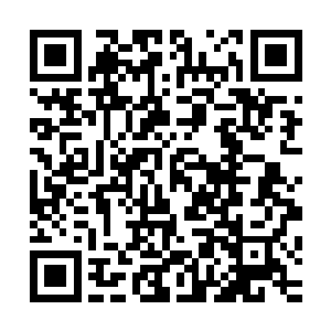 其实赵长卿也挺想八卦的问问苏先生到底会不会去李家过中秋二维码生成
