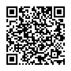 其实跟苏小小合作只不过是秦方一个备胎计划而已二维码生成