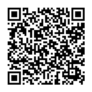 其实这一刻她才有些明悟为什么世界之主会无数次的让玩家进入这个任务世界里二维码生成