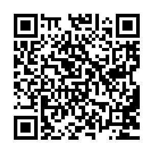 其实这一部分原因也是因为冰眼火焰蛇一直被囚困在石洞之中二维码生成