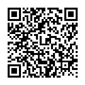 其实这个码头欢迎仪式并不是ESPN体育电视网安排的二维码生成