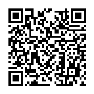 其实这些所谓的政府军不过就是一些北方的小军阀二维码生成