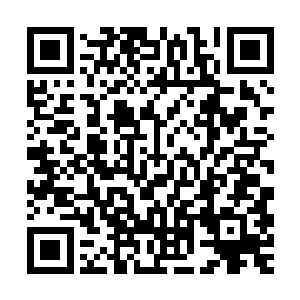 其实这些草草弄出来的东西在林封谨的眼里面看起来相当的粗陋二维码生成