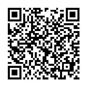 其实这仙鹤暗中选定的目标竟是三人中较弱的赵禁二维码生成