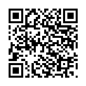 其实这就是莱昂纳多的演艺生涯轨迹二维码生成