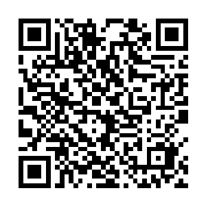 其实这种时候就将鬼卫的存在暴露出来还是有些过早了二维码生成