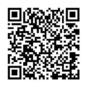 其实这都是我以前打直播时喜欢我的观众送得虚名二维码生成