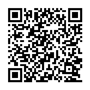 其实连她都没想到虞哥哥竟然就这么直接离开了二维码生成