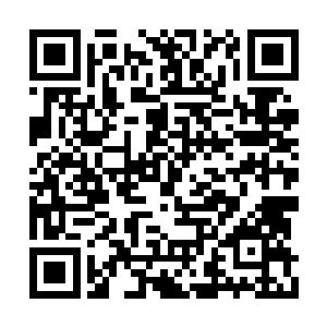 其实追影之所以黏着他也是和追影的经历有关系二维码生成