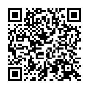 其实那些人一直都以为虞家的宝藏藏在虞家大宅之内吧二维码生成