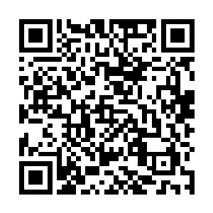 其实那些光源不过是照婚纱照时补光用的反光器材而已二维码生成