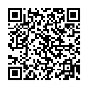 其实都是德国记者蒂莫·布劳尔曾经拿来黑荣光的那一套二维码生成