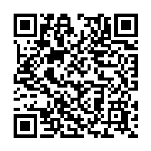 其实陆为民也是注意了整个走廊里的监控摄像头的二维码生成